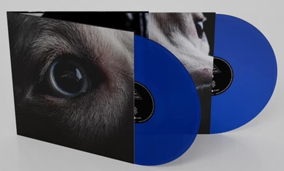 Roger Waters - The Dark Side Of The Moon (Redux) (Limited edition, blue vinyl) (2LP)