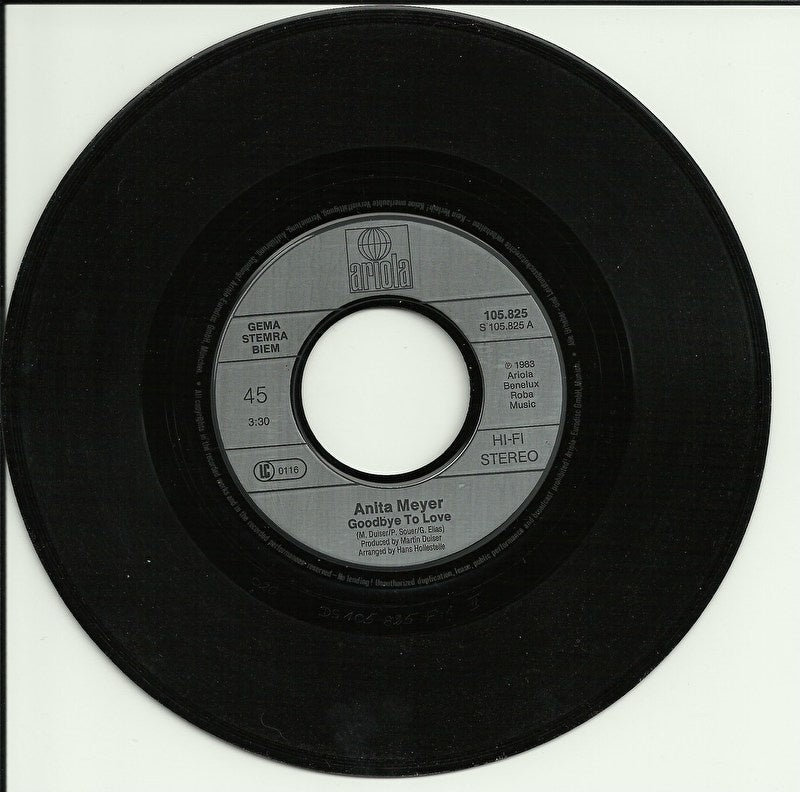 Anita Meyer - Goodbye to love