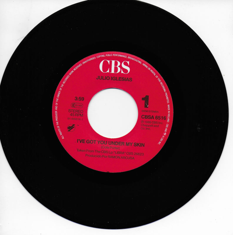 Julio Iglesias - I've got you under my skin