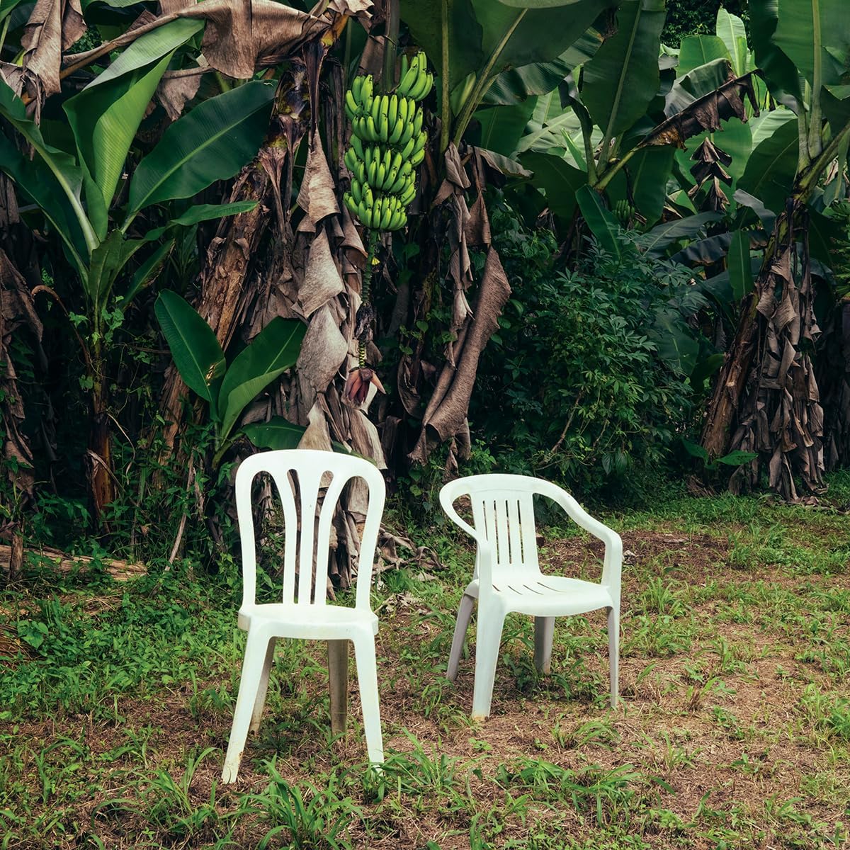 Bad Bunny - Debi Tirar Más Fotos (White vinyl) (2LP)
