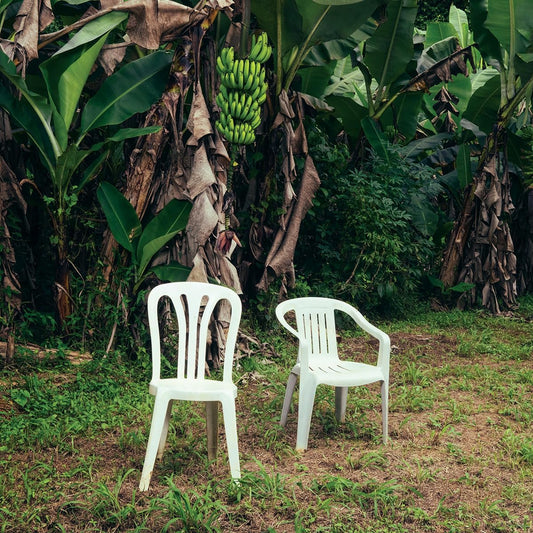 Bad Bunny - Debi Tirar Más Fotos (White vinyl) (2LP)