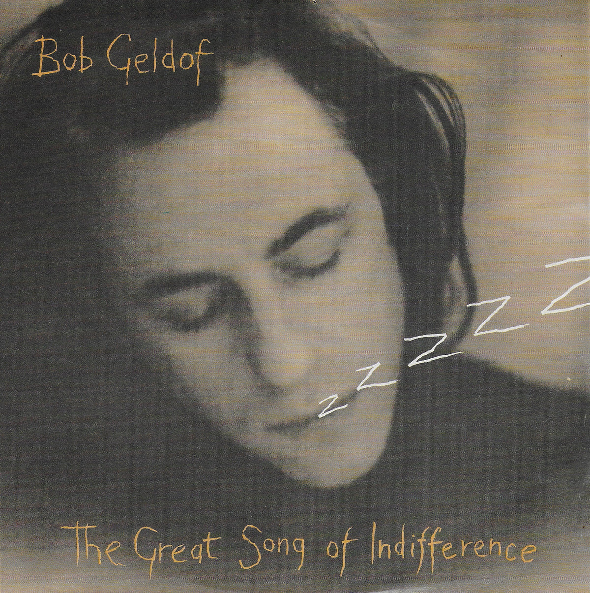 Bob Geldof - The great song of indifference