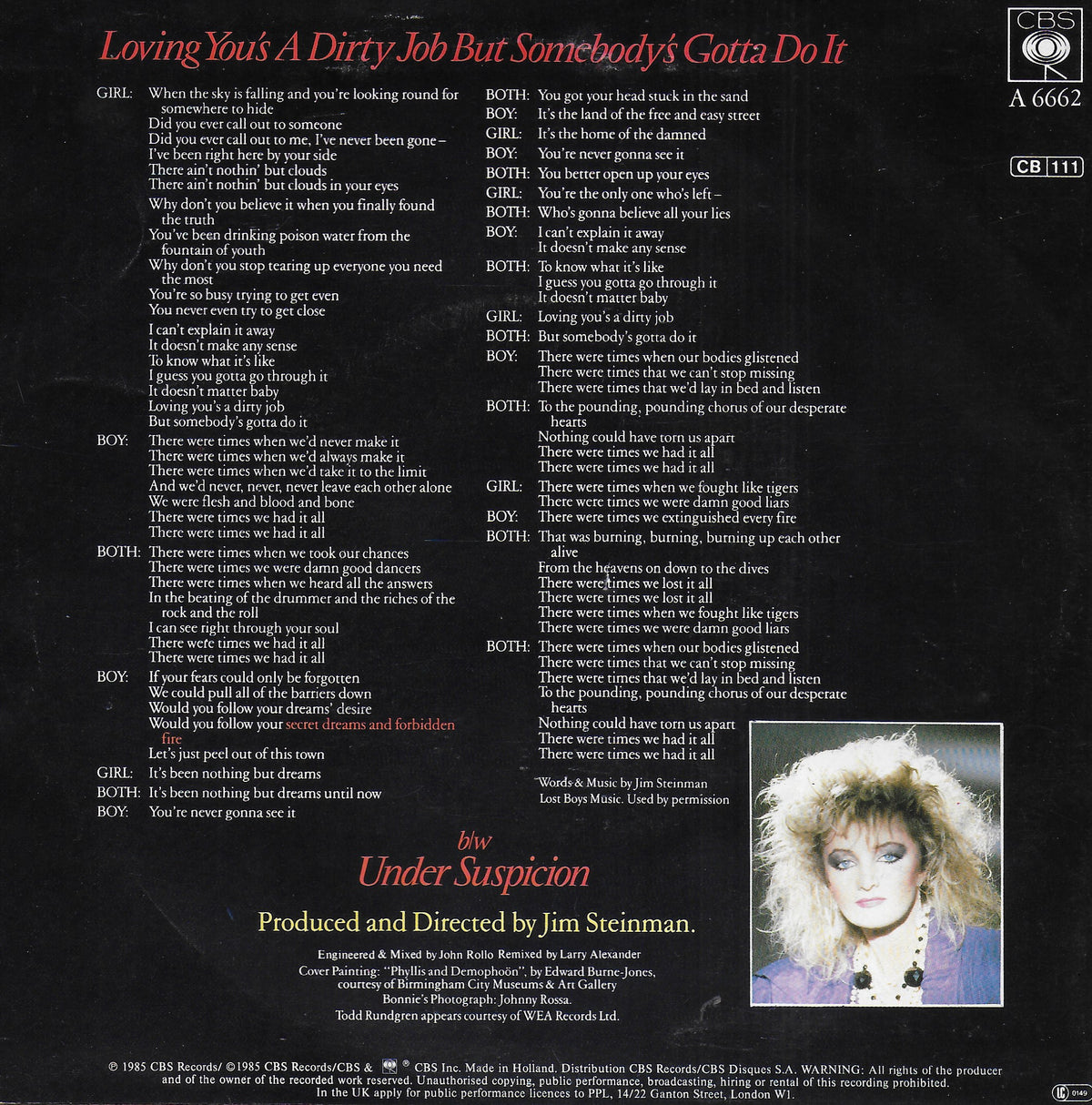 Bonnie Tyler (duet with Todd Rundgren) - Loving you's a dirty job but somebody's gotta do it