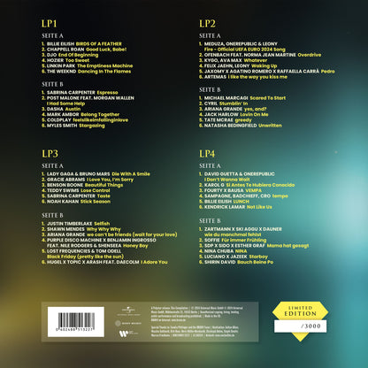 Various - Bravo The Hits 2024 (4LP)