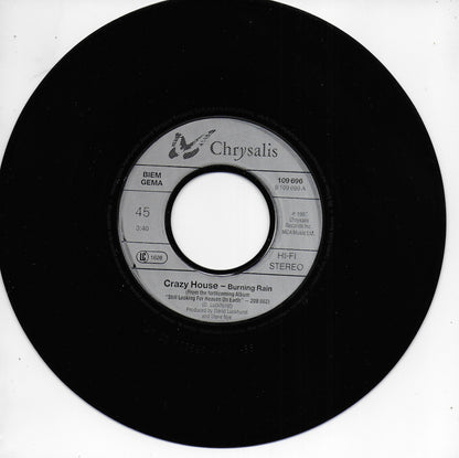 Crazy House - Burning rain