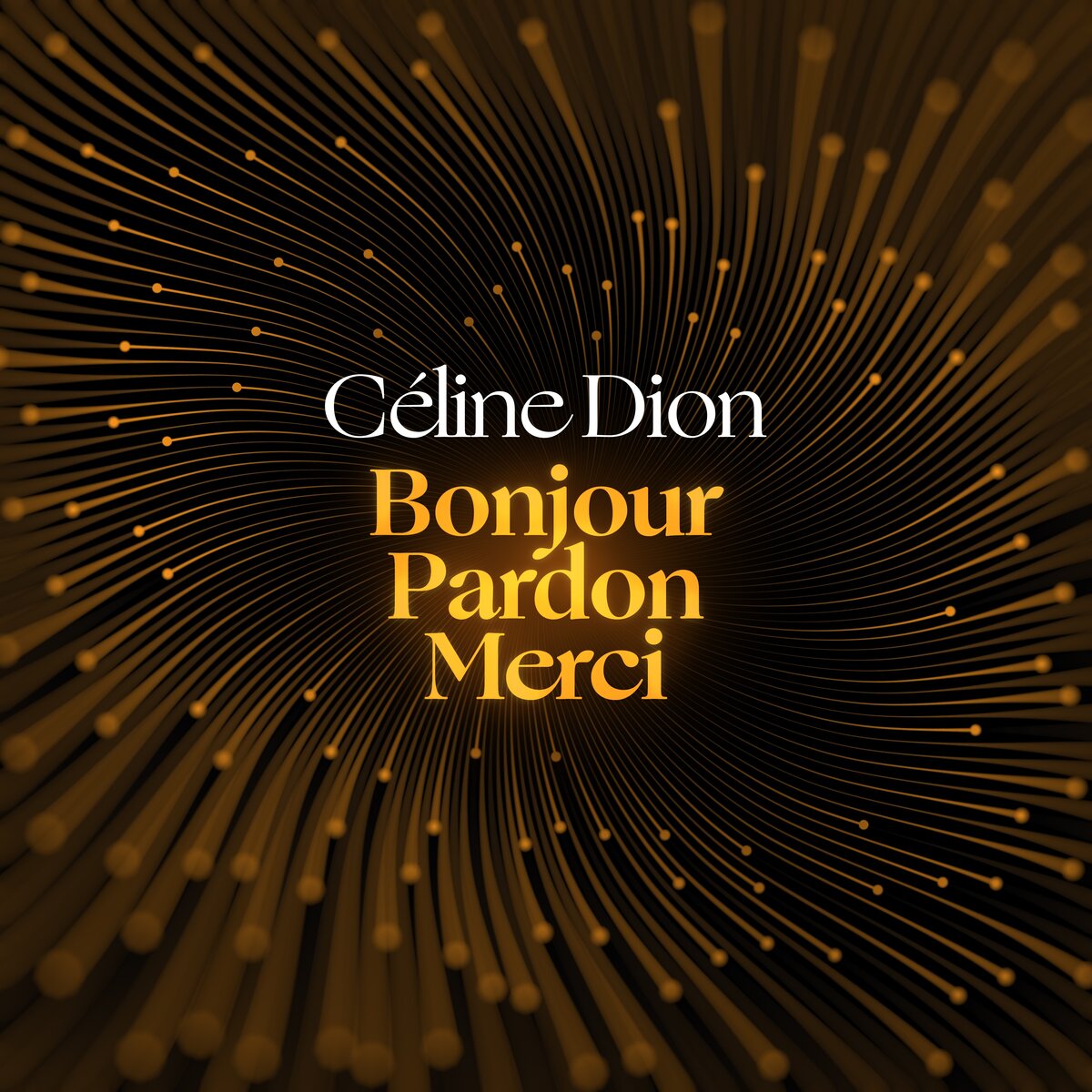 Céline Dion - Bonjour Pardon Merci (12" Maxi Single)