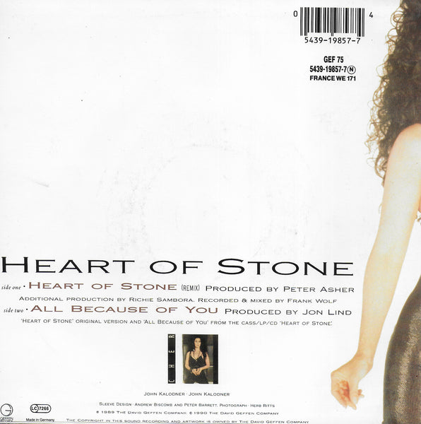 Cher - Heart of stone (remix)