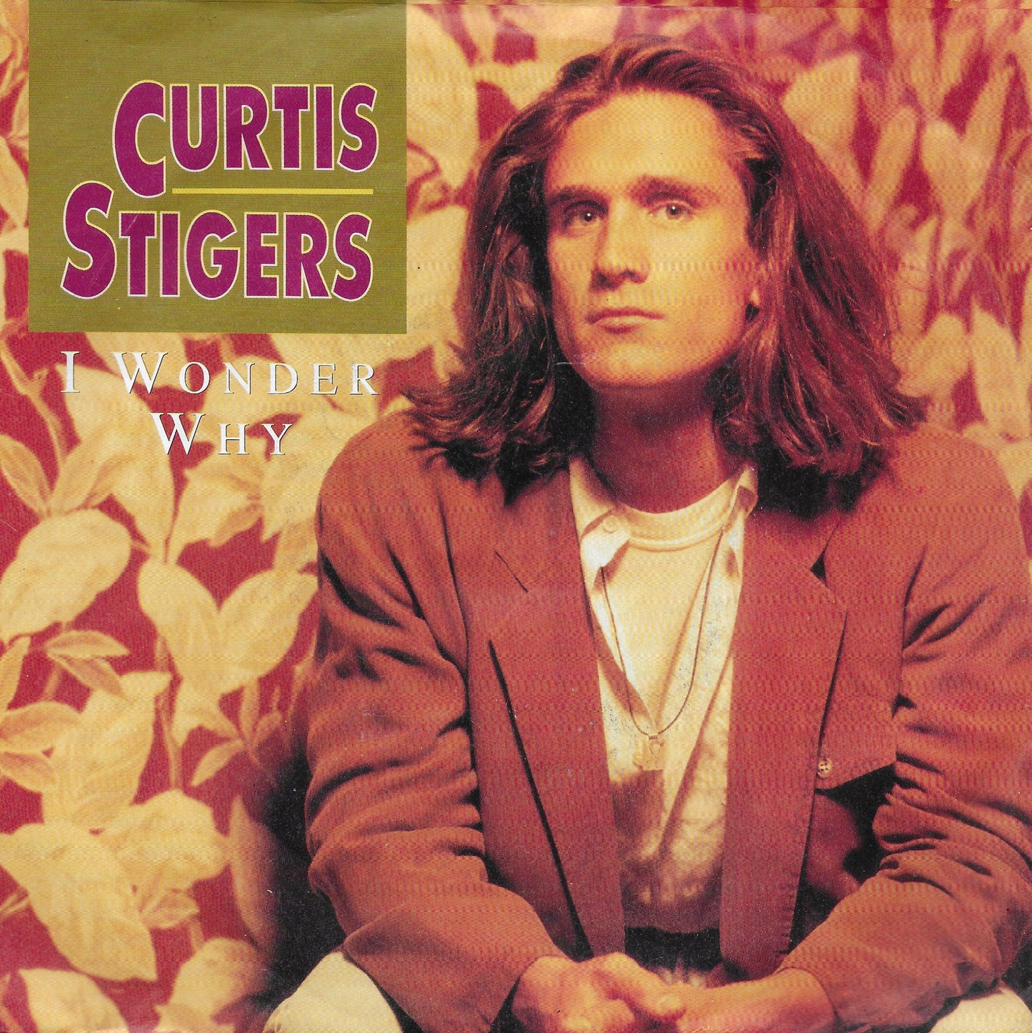 Curtis Stigers - I wonder why (Engelse uitgave)
