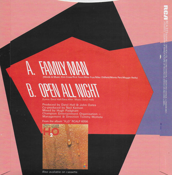 Daryl Hall & John Oates - Family man (Engelse uitgave)