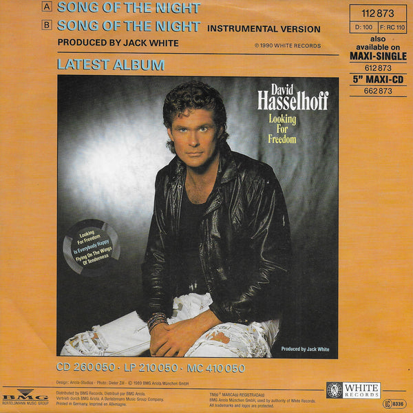 David Hasselhoff - Song of the night
