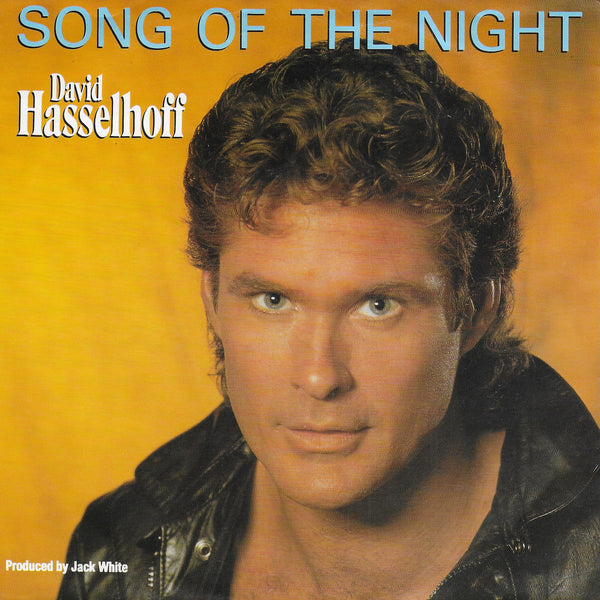 David Hasselhoff - Song of the night