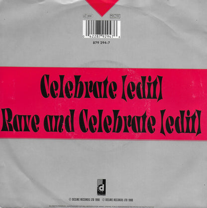 Double Trouble's Collective Effort - Celebrate