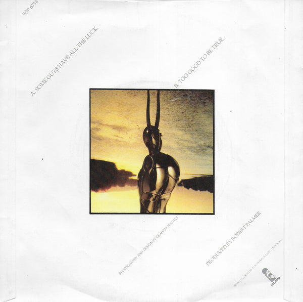 Robert Palmer - Some guys have all the luck (Engelse uitgave)