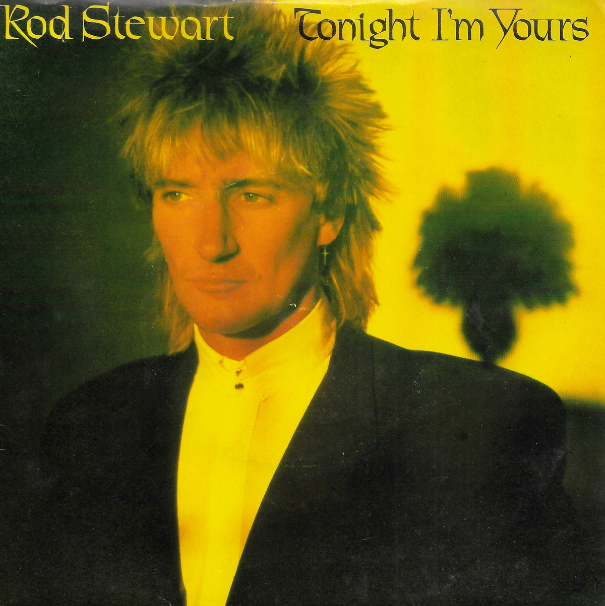 Rod Stewart - Tonight i'm yours (don't hurt me) (Engelse uitgave)