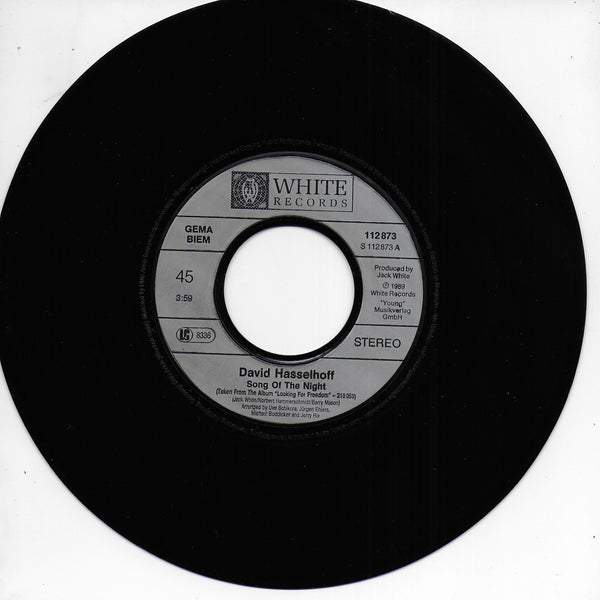 David Hasselhoff - Song of the night