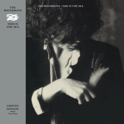 The Waterboys - This Is The Sea (Limited edition, clear vinyl) (LP)