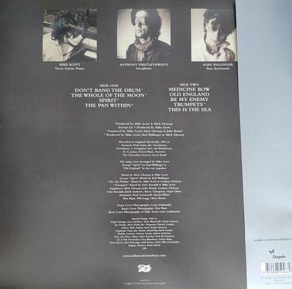 The Waterboys - This Is The Sea (Limited edition, clear vinyl) (LP)