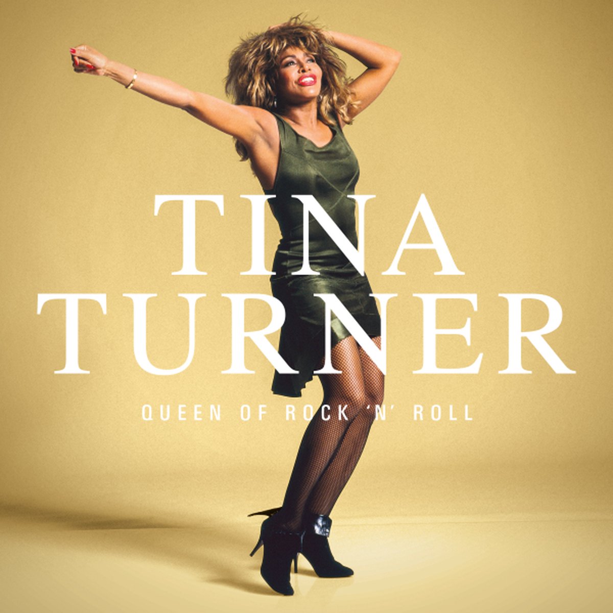 Tina Turner - Queen Of Rock 'N' Roll / Tina's Greatest Hits (LP)