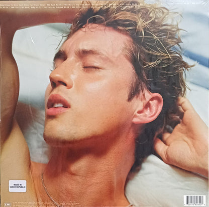 Troye Sivan - Something To Give Each Other (LP)