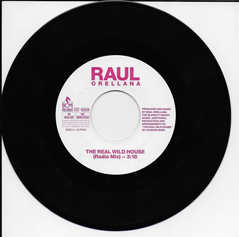 Raul Orellana - The real wild house
