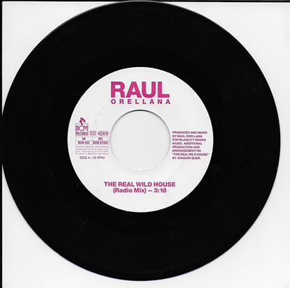 Raul Orellana - The real wild house