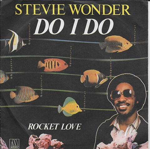 Stevie Wonder - Do i do