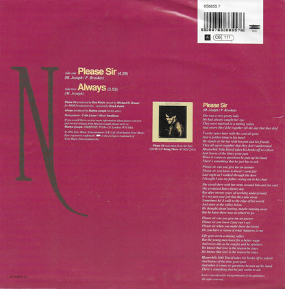Martyn Joseph - Please Sir