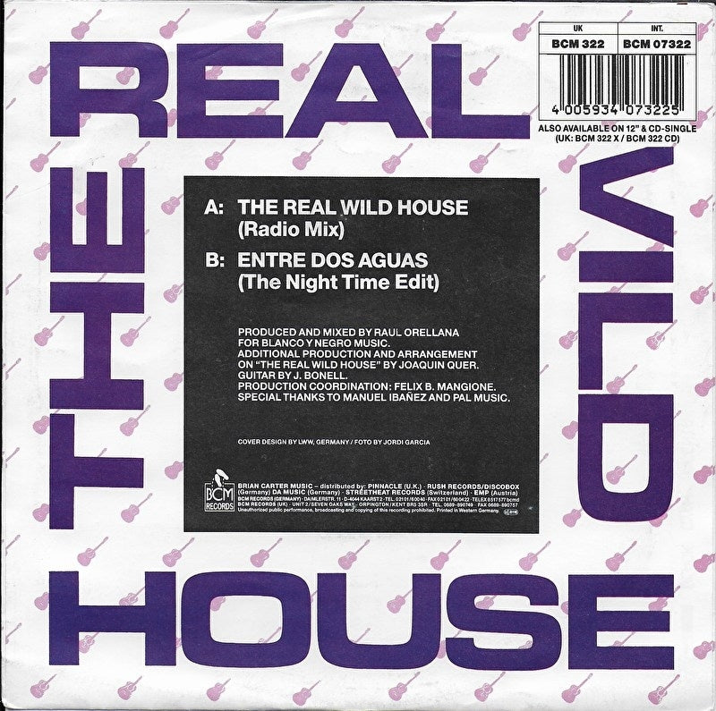 Raul Orellana - The real wild house