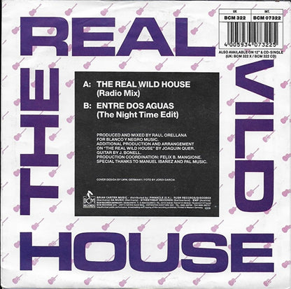 Raul Orellana - The real wild house
