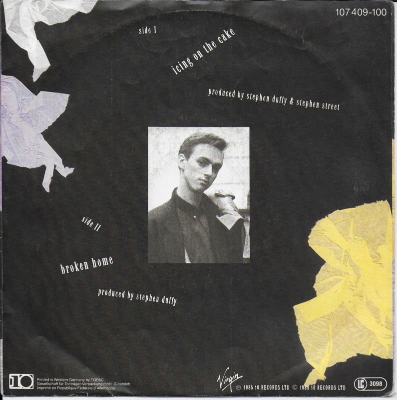 Stephen Tintin Duffy - Icing on the cake