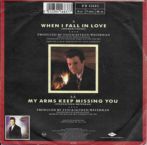 Rick Astley - When i fall in love