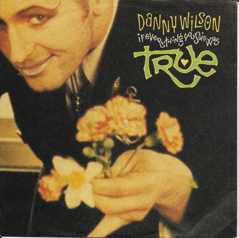 Danny Wilson - If everything you said was true