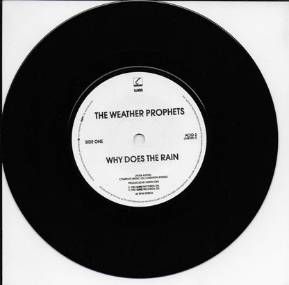 Weather Prophets - Why does the rain