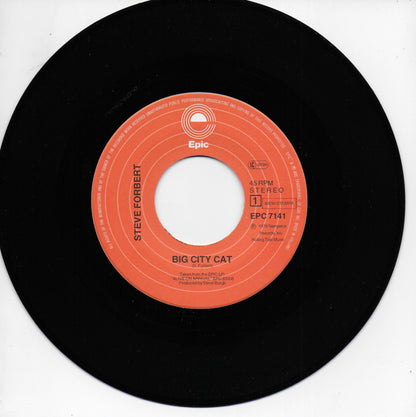 Steve Forbert - Big city cat