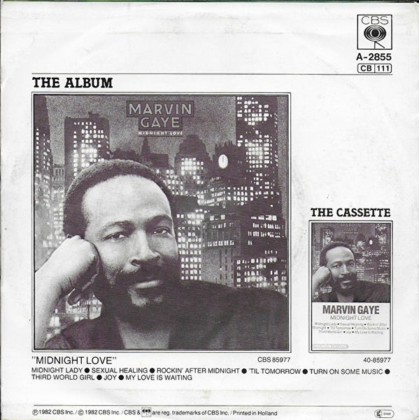 Marvin Gaye - Sexual healing