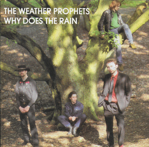 Weather Prophets - Why does the rain