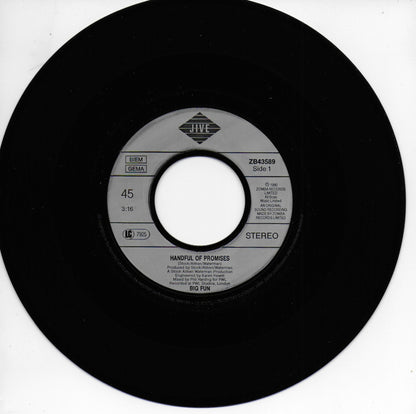 Big Fun - Handful of promises