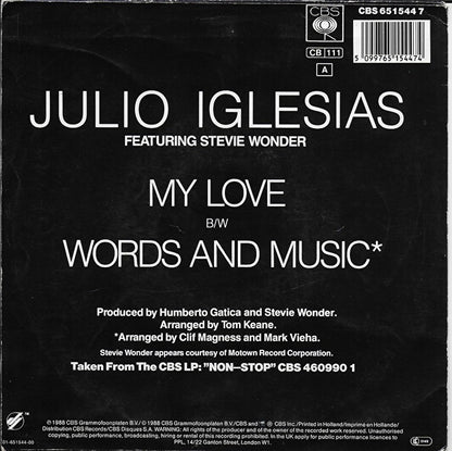 Julio Iglesias ft. Stevie Wonder - My love
