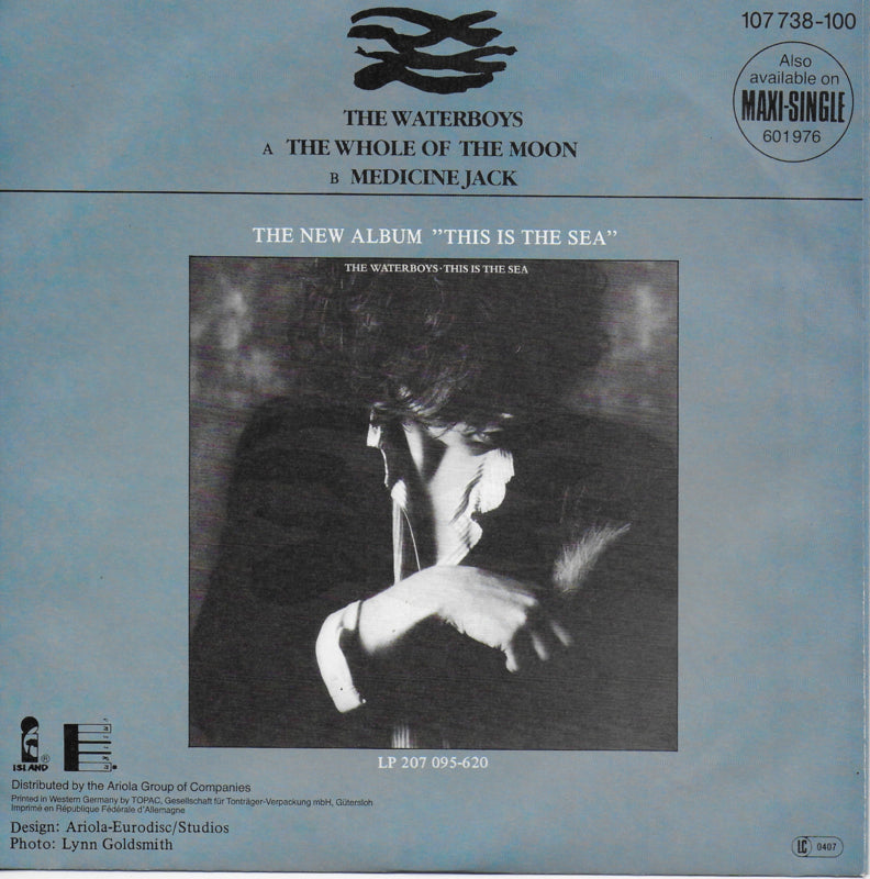 Waterboys - The whole of the moon (Europese uitgave)