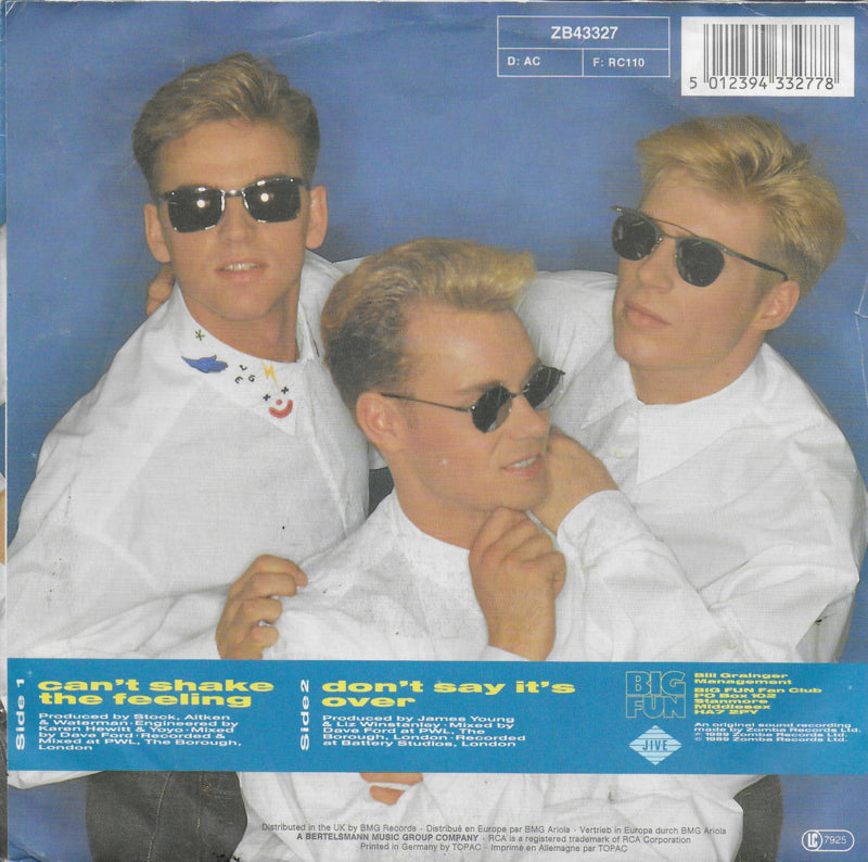 Big Fun - Can't shake the feeling