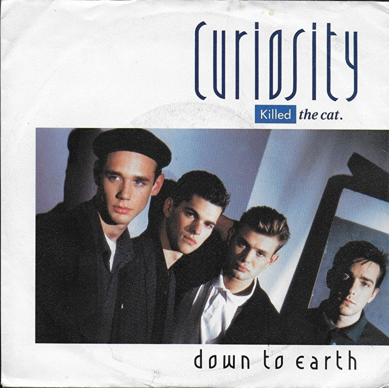 Curiosity killed the Cat - Down to earth