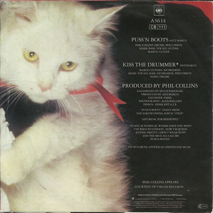 Adam Ant - Puss 'n boots