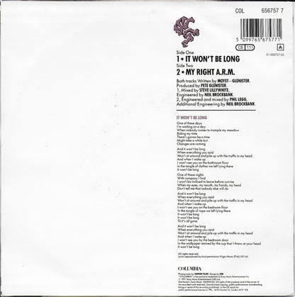 Alison Moyet - It won't be long