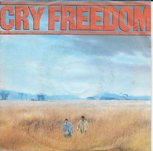 Cry Freedom - The funeral