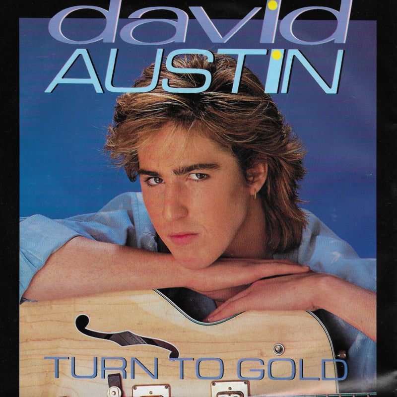 David Austin - Turn to gold