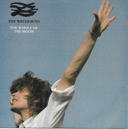 Waterboys - The whole of the moon (Europese uitgave)