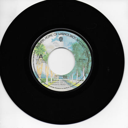 Shaun Cassidy - Hey Deanie