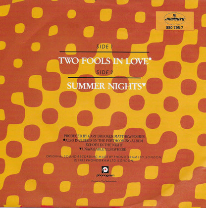 Gary Brooker - Two fools in love