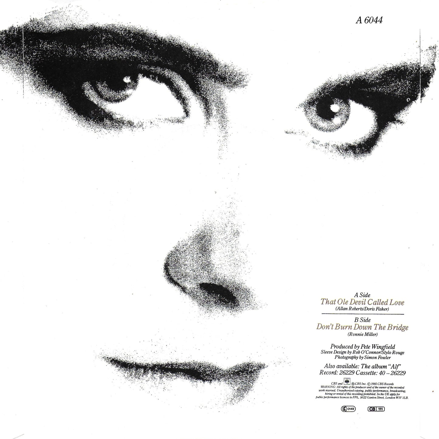 Alison Moyet - That ole devil called love (Engelse uitgave)