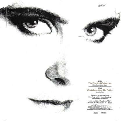 Alison Moyet - That ole devil called love (Engelse uitgave)